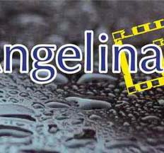Angelina Studio
